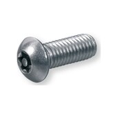 Sicherheitsschraube M 8 x 30 A2